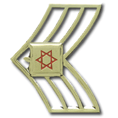 מגן דוד אדום - דרגת "מתן מתקדם"