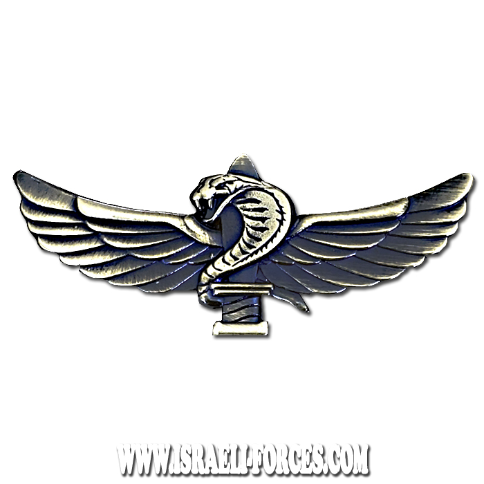סמל לוחם צנחנים חדש (277)