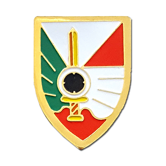סמל גדודון דוכיפת (80)