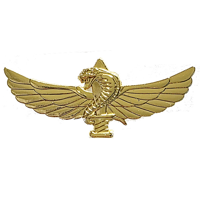 סמל לוחם צנחנים חדש מוזהב (277)