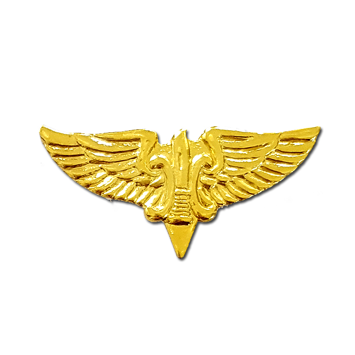 סמל גדוד שקד (שקדון) - זהב (51)