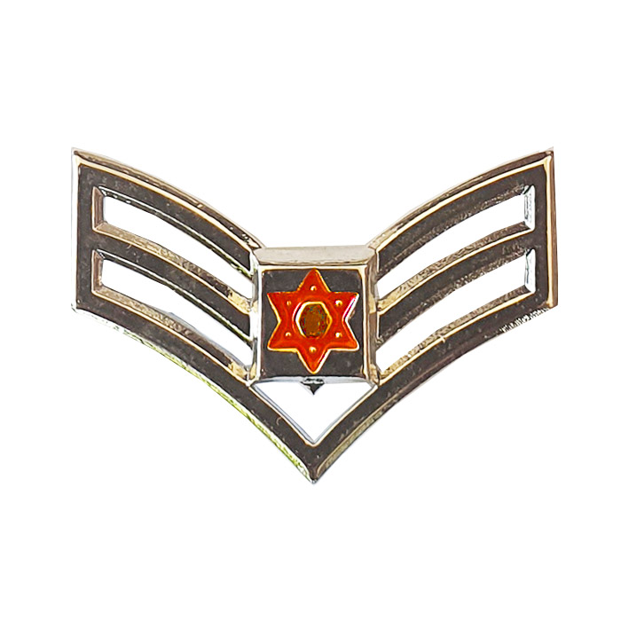 מגן דוד אדום - דרגת "מתן שני" (מת"ש) מתכת