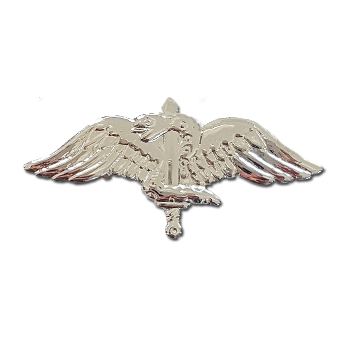 סמל לוחם צנחנים 1990-2020 - שבוזון (84)